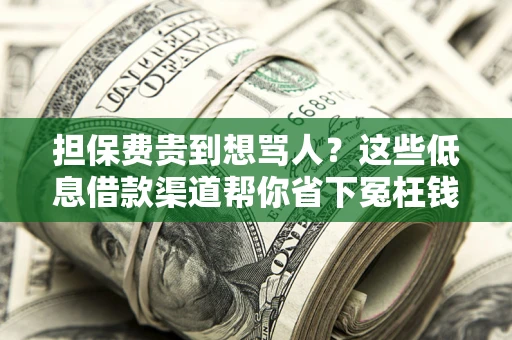 济南担保费贵到想骂人？这些低息借款渠道帮你省下冤枉钱