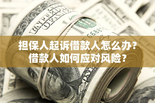 济南担保人起诉借款人怎么办？借款人如何应对风险？
