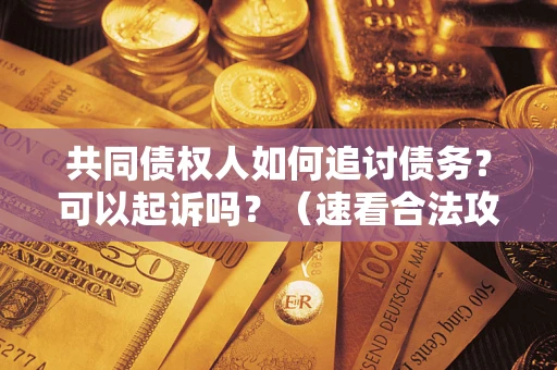 济南共同债权人如何追讨债务？可以起诉吗？（速看合法攻略）
